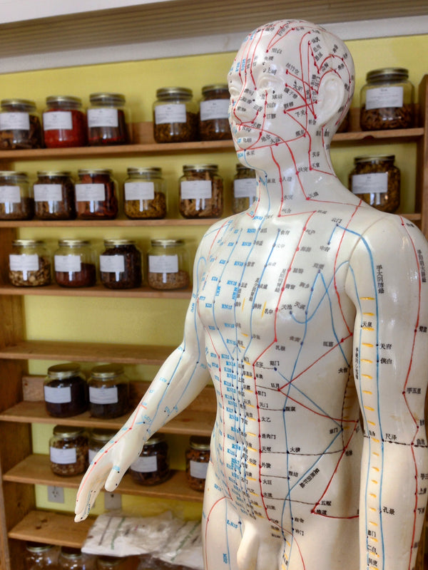 Acupuncture Intervention Guidance from the WFAS
