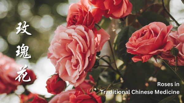 Roses (Mei Gui Hua) in Traditional Chinese Medicine