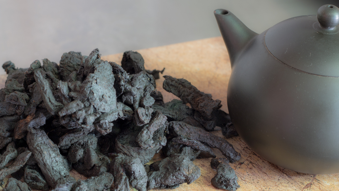 The Five Classical Di Huang Wan Formulas, and their Applications in TCM