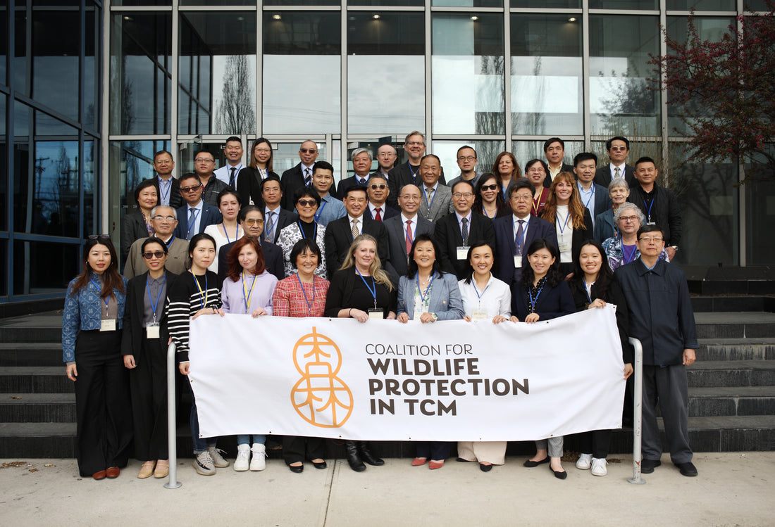 Wildlife Protection in Traditional Chinese Medicine (Video Included)