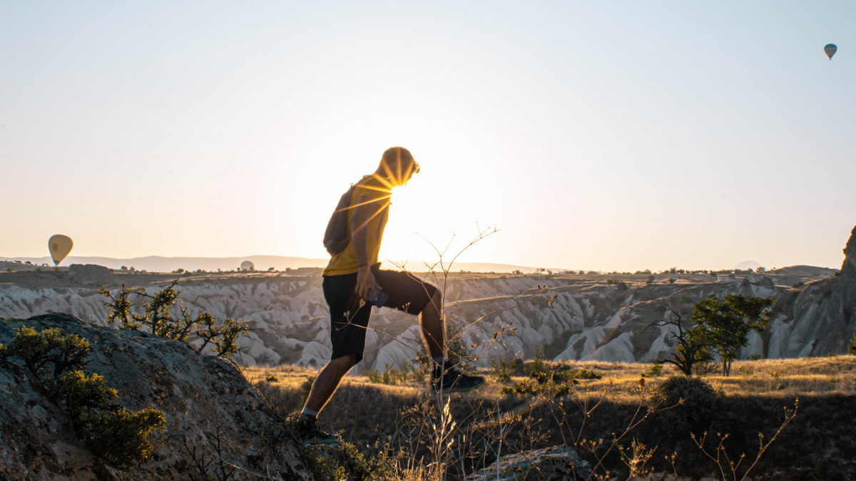 Herbal Pharmacy Essentials: Bone, Joint & Muscle Health