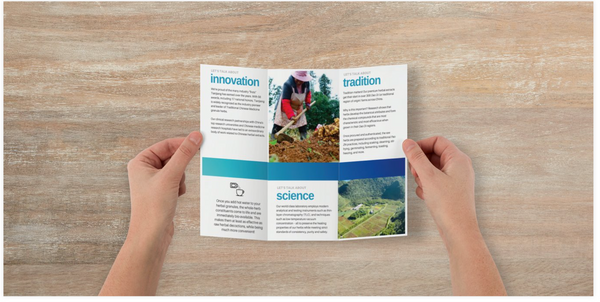 Customize it! "Why Herbal Granules?" Trifold Brochure