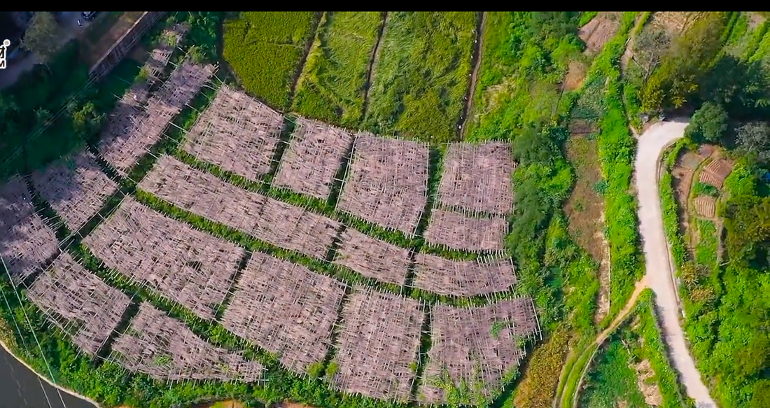 Sustainable Farming: 8 Ways We Preserve & Protect