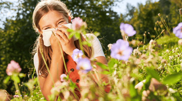 6 Herbs for Allergy Season