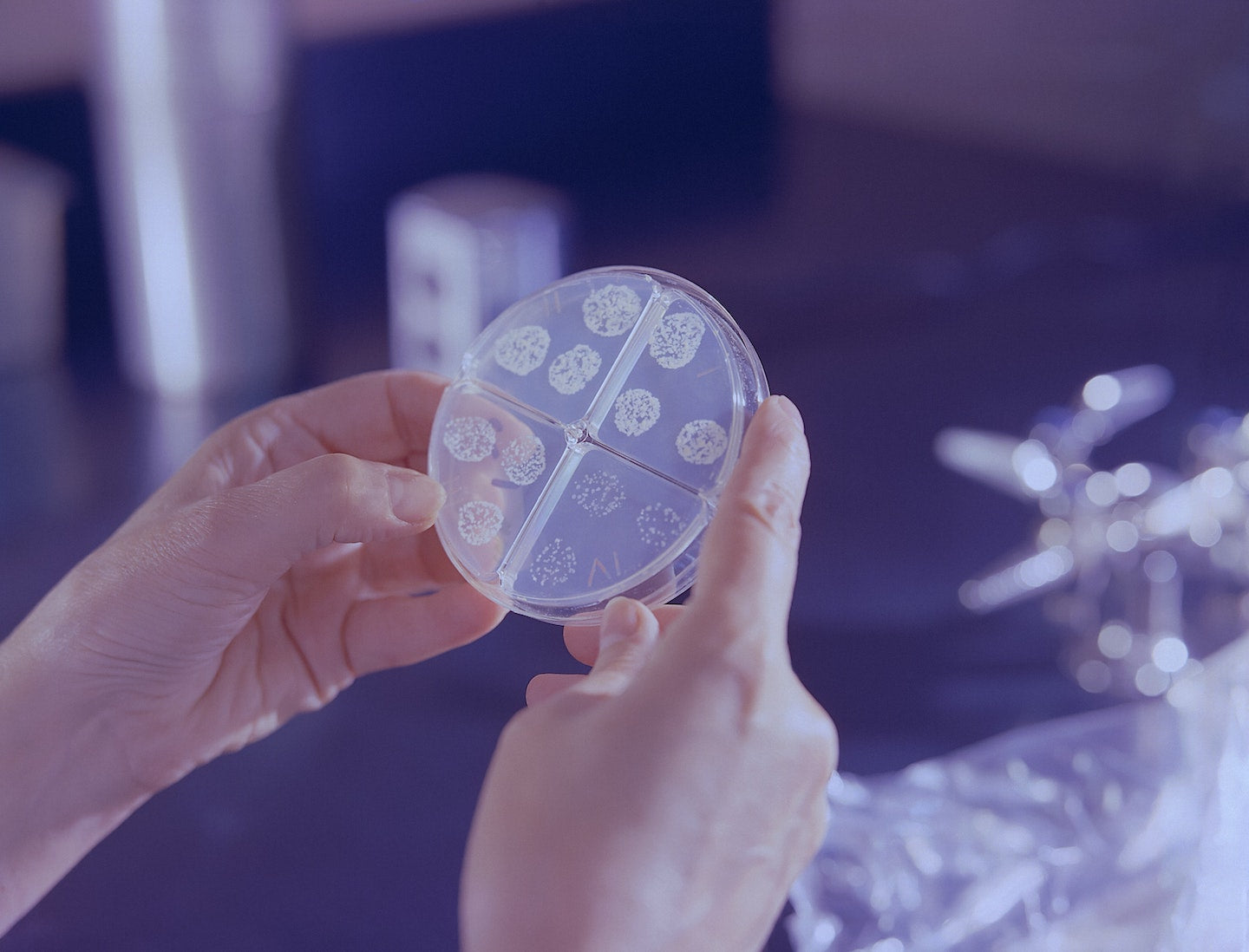Steps we take to provide exceptionally clean herbs - Part 1: Microbiologicals