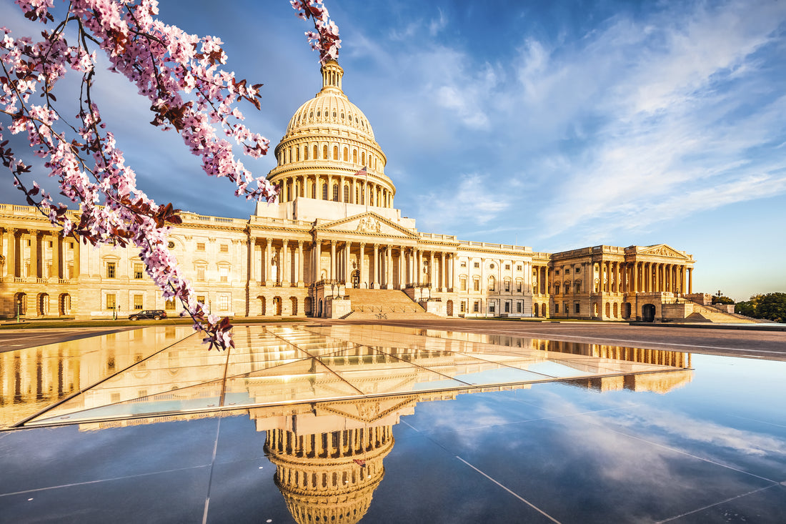 The Acupuncture for Our Seniors Act of 2023