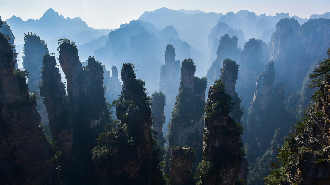 Four Principles of TCM Formula Compatibility