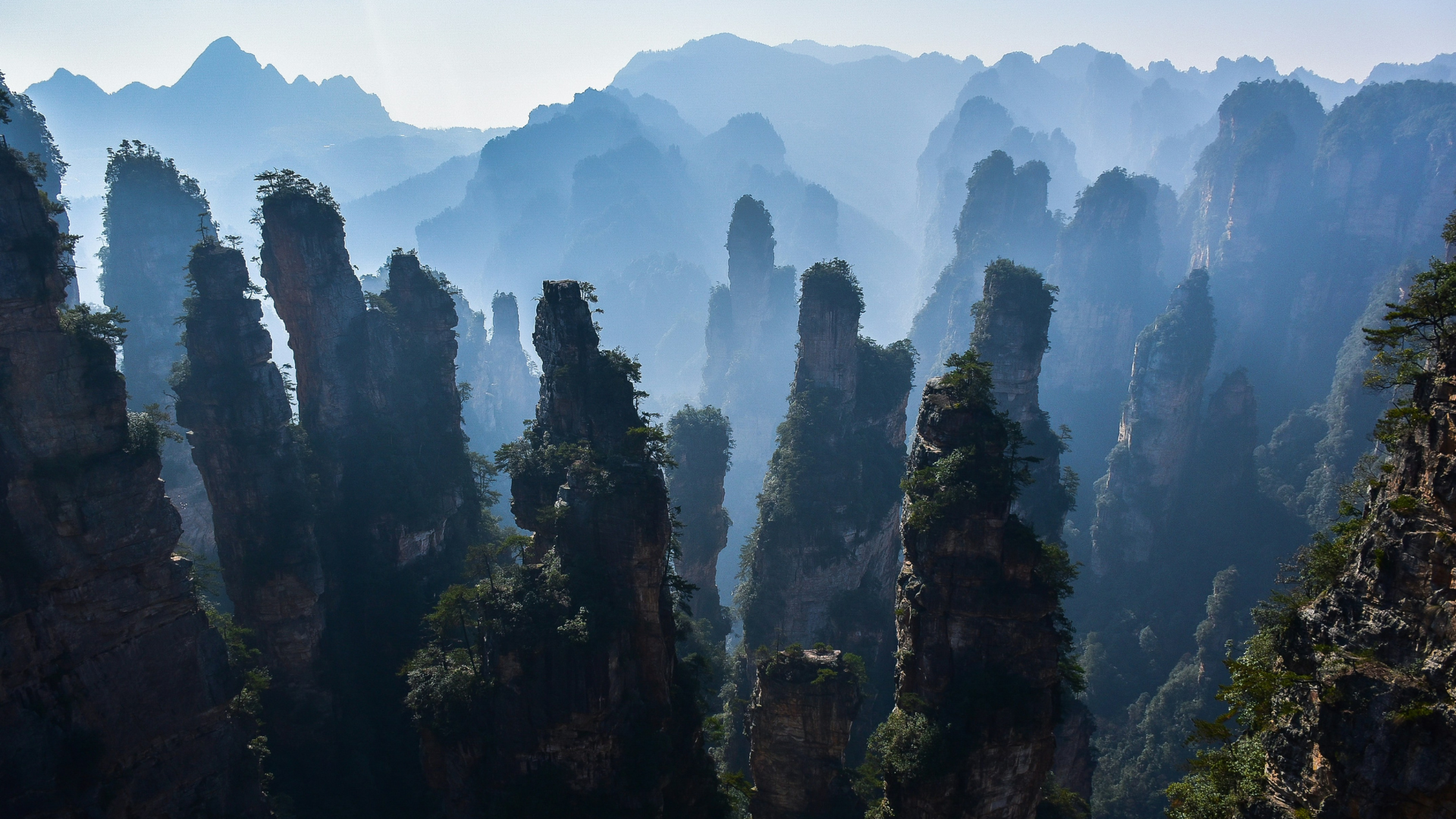 Four Principles of TCM Formula Compatibility