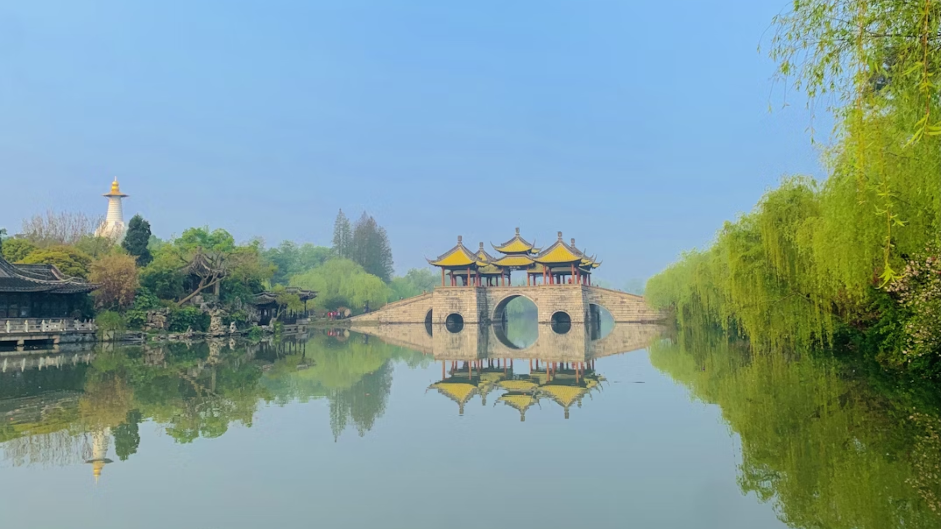 Zuo Gui Yin & Zuo Gui Wan: A Practical Guide to Nourish Kidney Yin