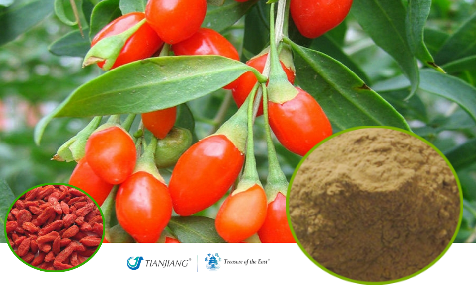 Gou Qi Zi 5:1 - 枸杞子 - Goji Berry Extract Granules (1kg/2.2 lbs/foil bag)