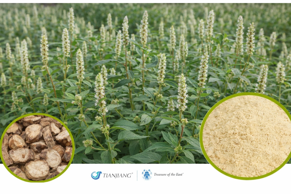 Chuan Niu Xi - 川牛膝 - Cyathula Root (1kg/2.2lbs/foil bag)