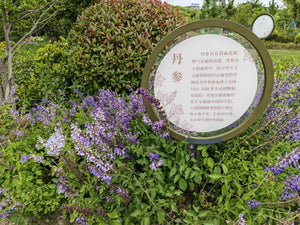 Deposit: Tianjiang China Trip with ACAOM 2026