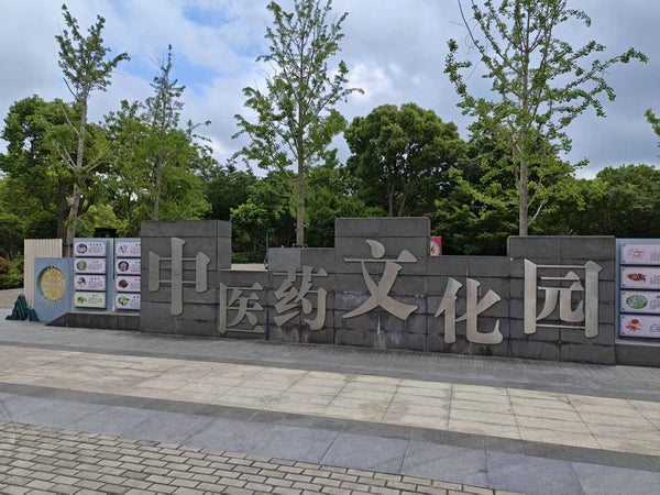 Deposit: Tianjiang China Trip with ACAOM 2026