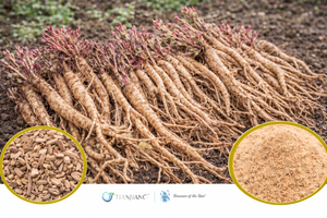 Yuan Zhi (Zhi) - 制远志 - Polygala Root (Processed) (1kg/2.2lbs/foil bag)