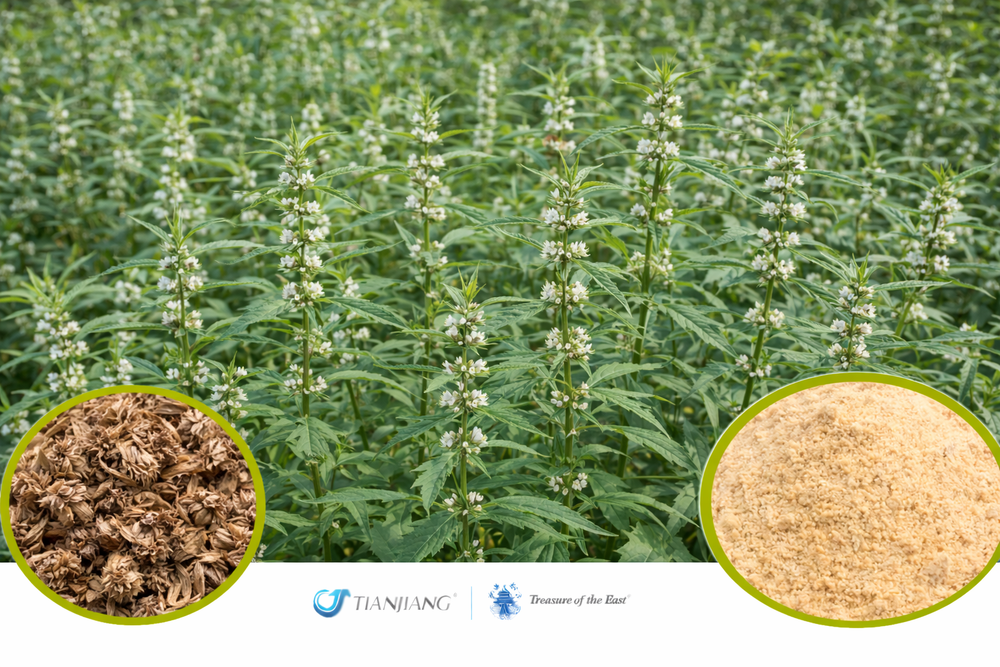 Lu Xian Cao - 鹿衔草 - Pyrola Herb (1kg/2.2lbs/foil bag)