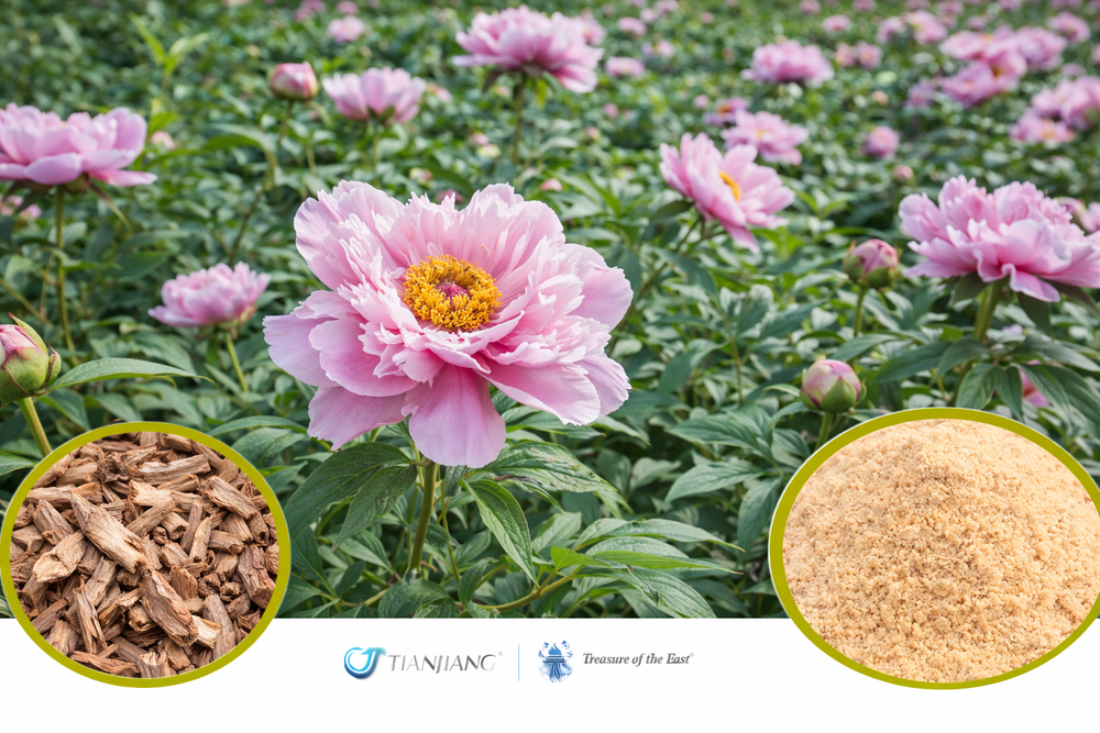 Mu Dan Pi - 牡丹皮 - Moutan Bark (1kg/2.2lbs/foil bag)