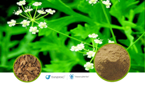 Fang Feng - 防风 - Saposhnikovia Root Extract Granules (1kg/2.2lbs/foil bag)