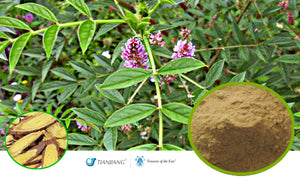 Gan Cao - 甘草 - Licorice Root (1kg/2.2 lbs/foil bag)