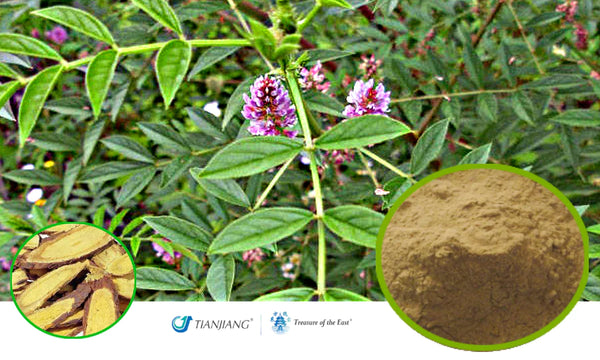 Gan Cao - 甘草 - Licorice Root (1kg/2.2 lbs/foil bag)